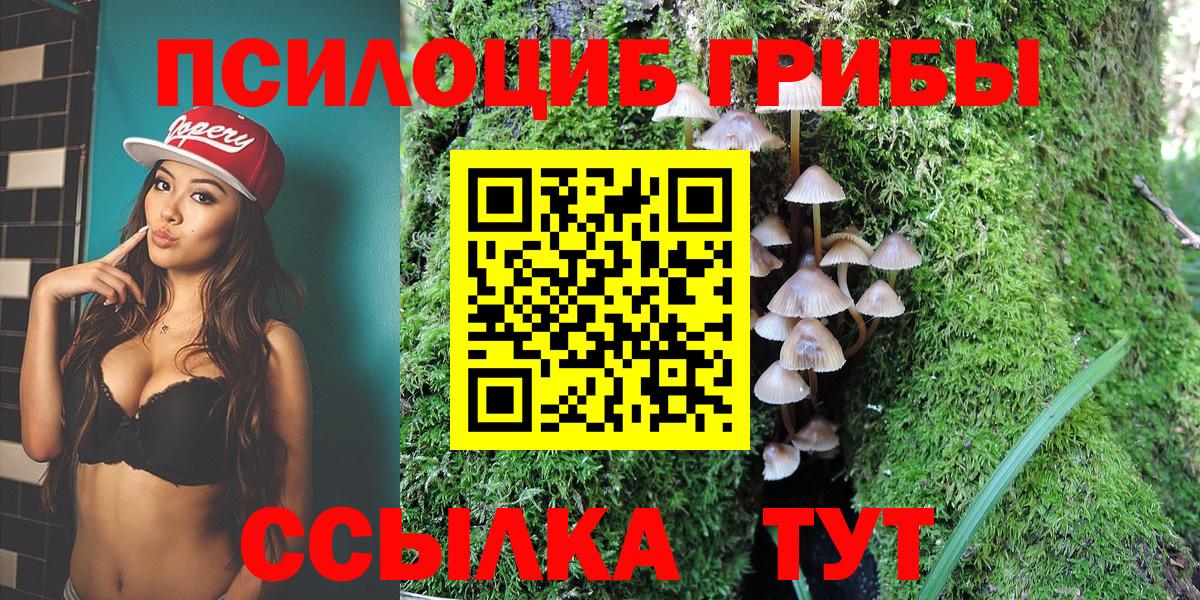 Кызыл  цена   Вход с VPN  Псилоцибиновые грибы Psilocybe  Псилоцибиновые грибы Psilocybe 
