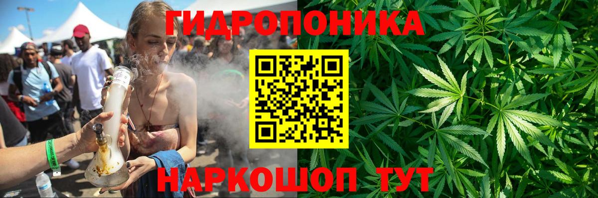 Кызыл  Бошки Шишки индика  Канабис Ganja  МАРИХУАНА конопля  Вход с VPN  Шишки марихуана планчик 
